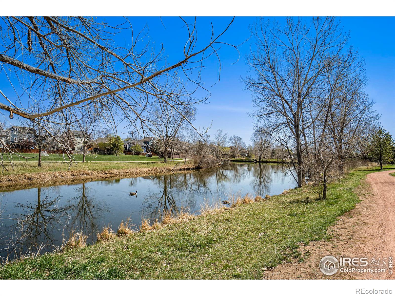 MLS Image #25 for 1020  andrews peak drive,fort collins, Colorado