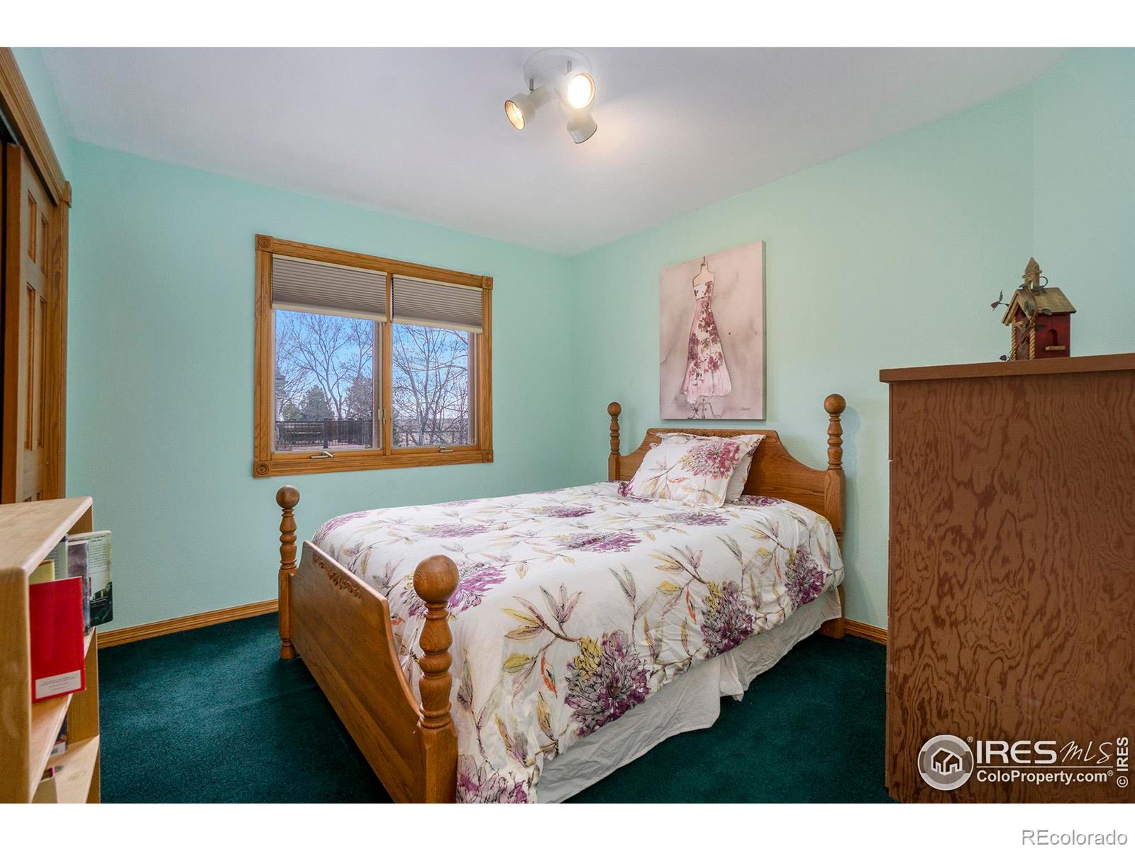 MLS Image #21 for 2221  grosvenor court,fort collins, Colorado