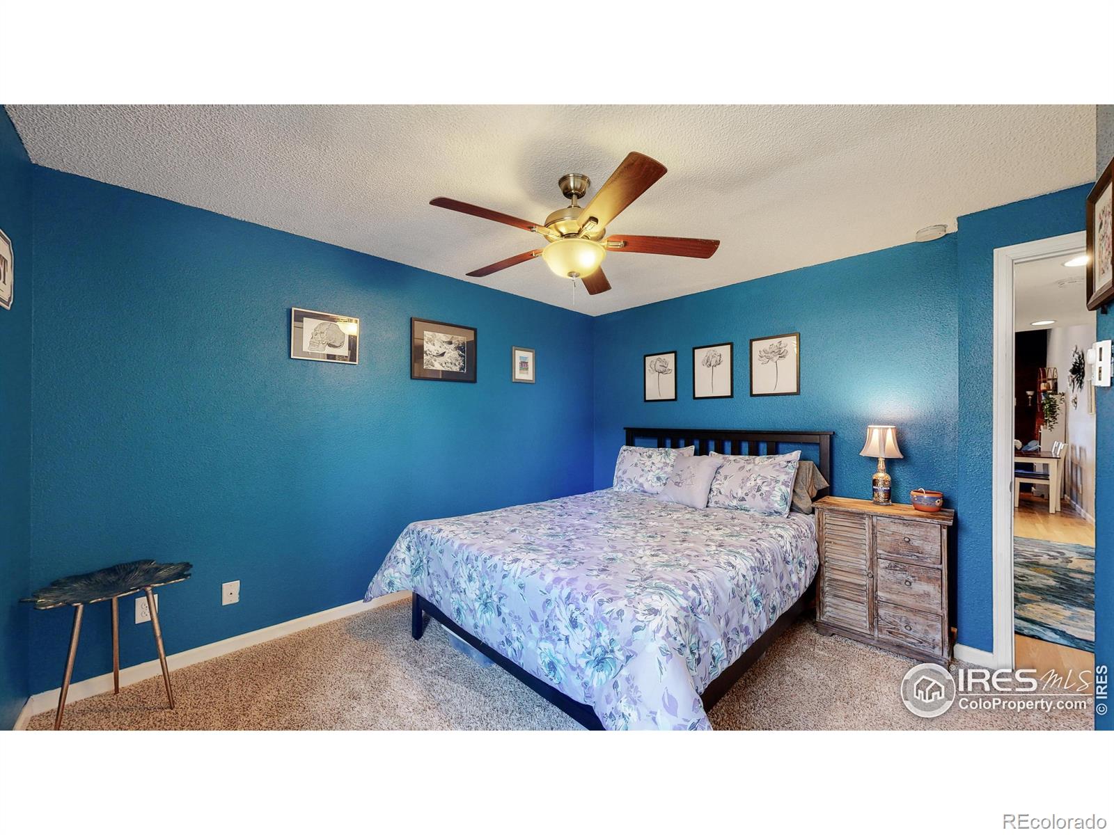 MLS Image #17 for 1502  donovan place,longmont, Colorado