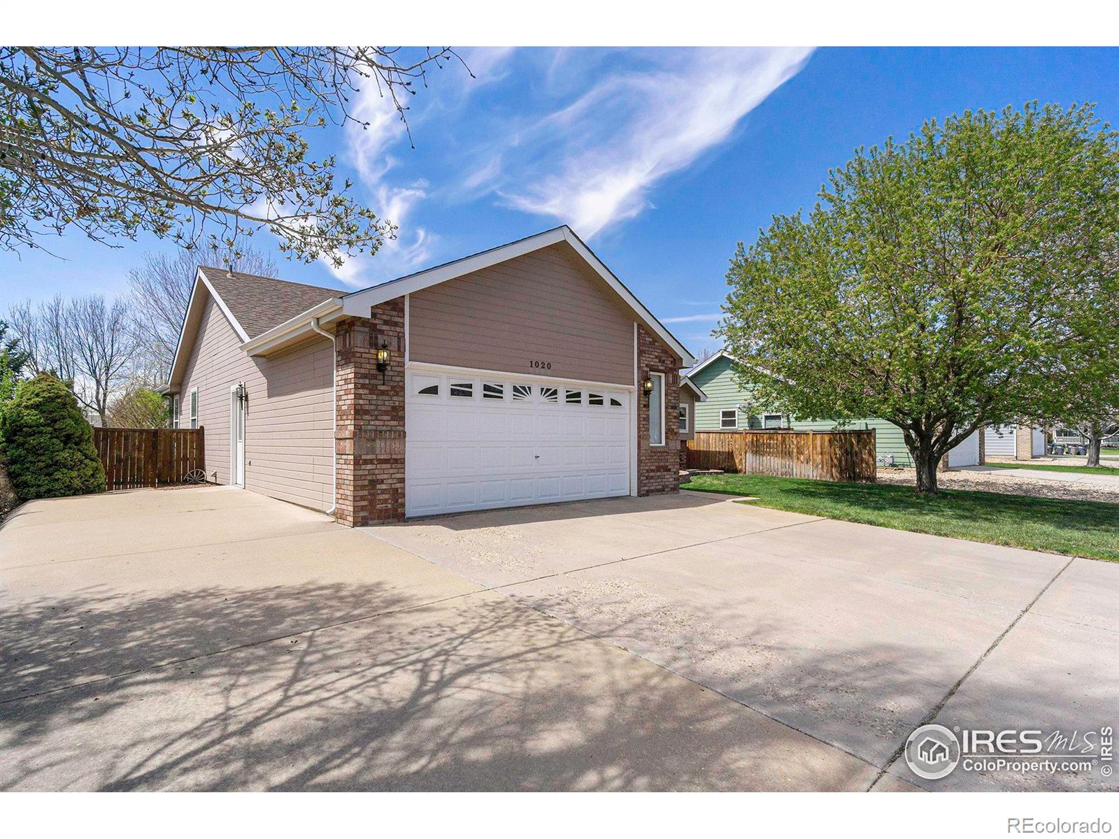 Report Image for 1020  Basin Court,Windsor, Colorado