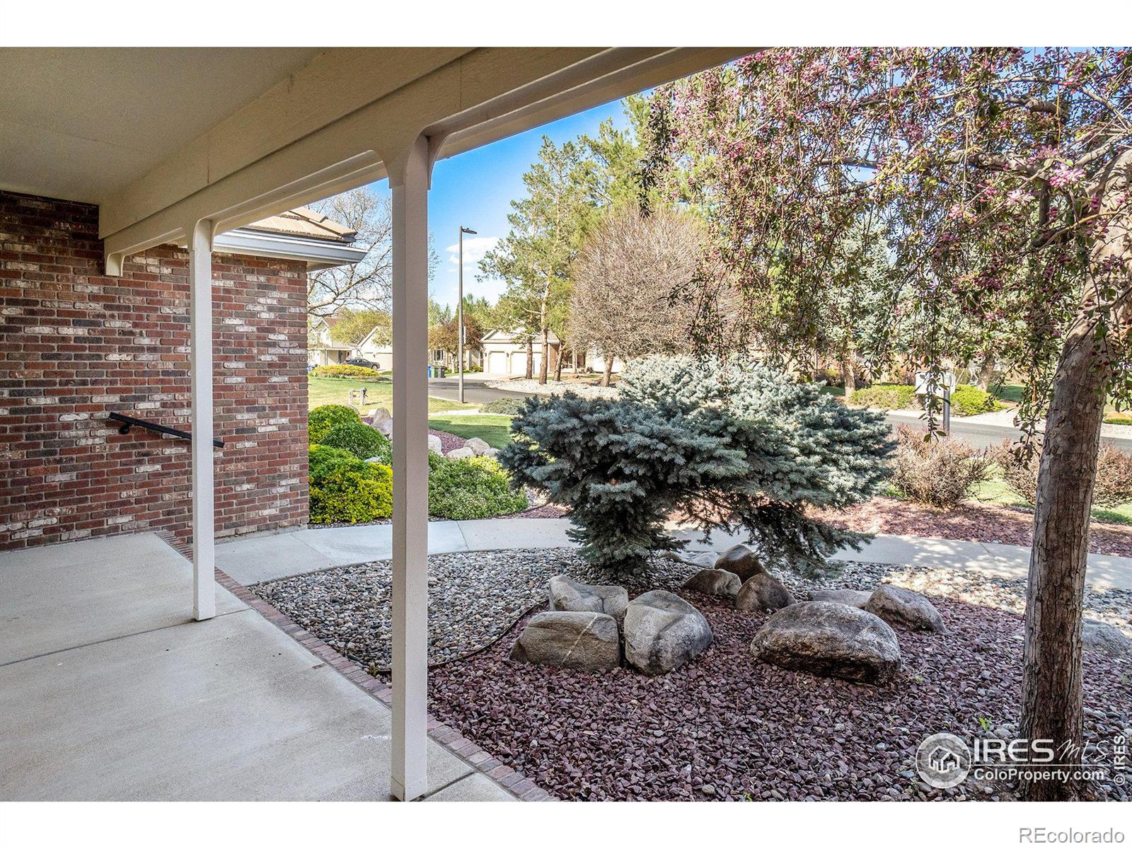 MLS Image #5 for 2543  amber drive,loveland, Colorado