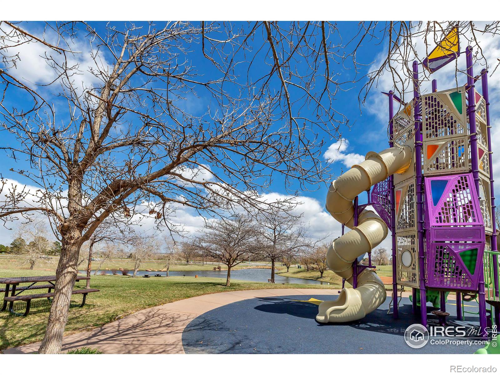 MLS Image #22 for 2733  slate court,superior, Colorado