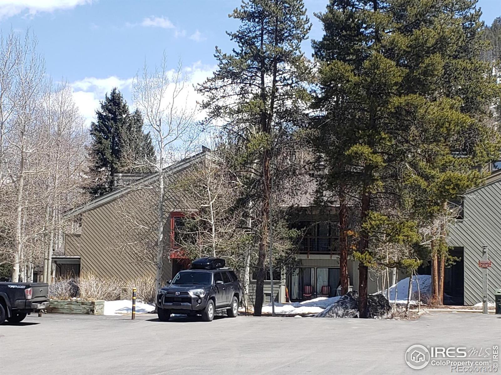 MLS Image #19 for 100  wild irishman road,keystone, Colorado