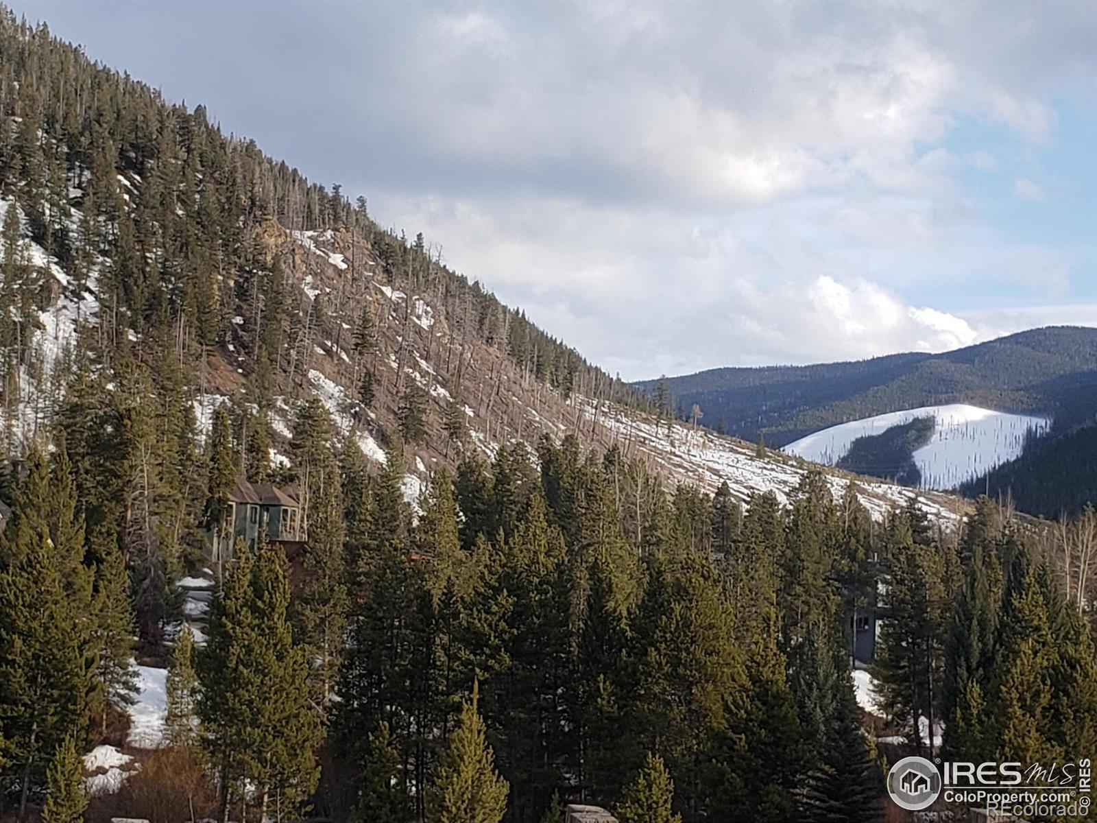 MLS Image #22 for 100  wild irishman road,keystone, Colorado