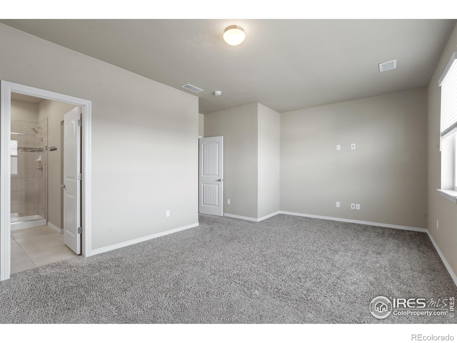 MLS Image #13 for 1686  grand avenue,windsor, Colorado