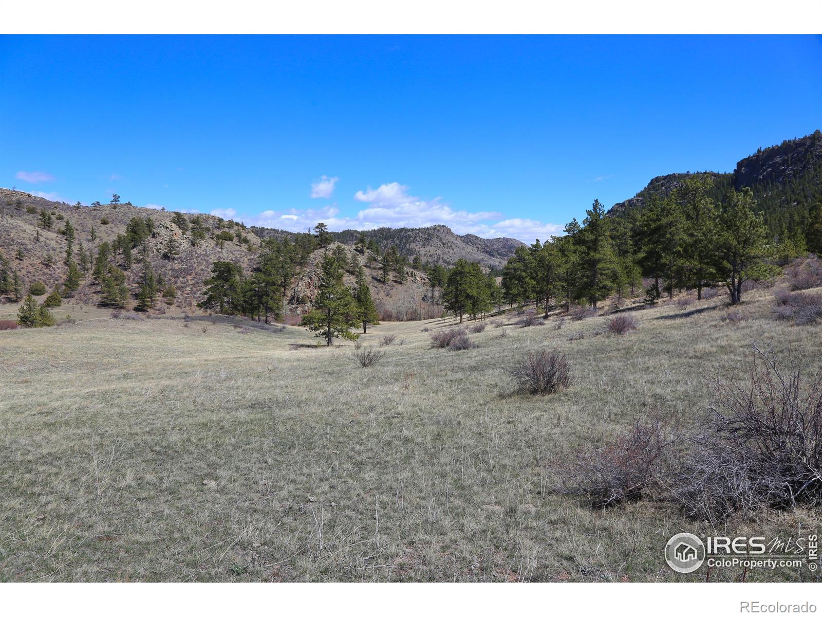 MLS Image #10 for 6161  mill creek road,livermore, Colorado