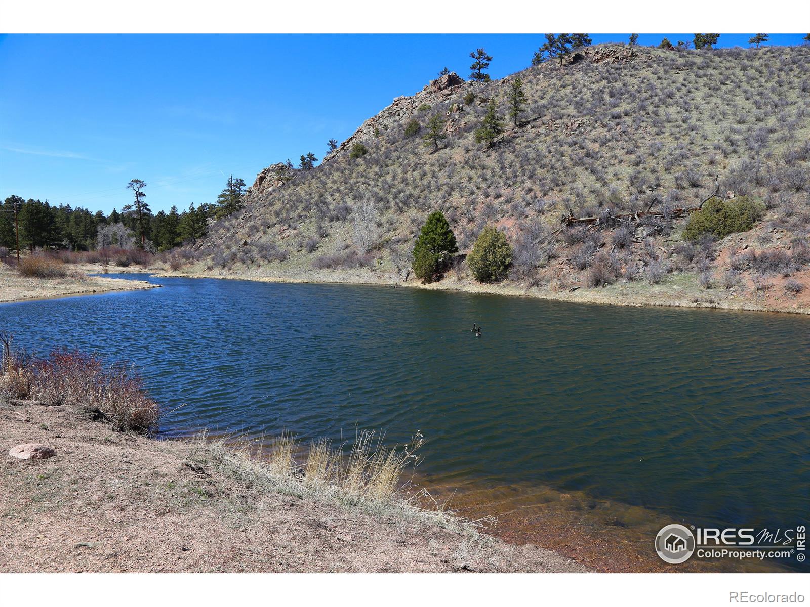 MLS Image #28 for 6161  mill creek road,livermore, Colorado