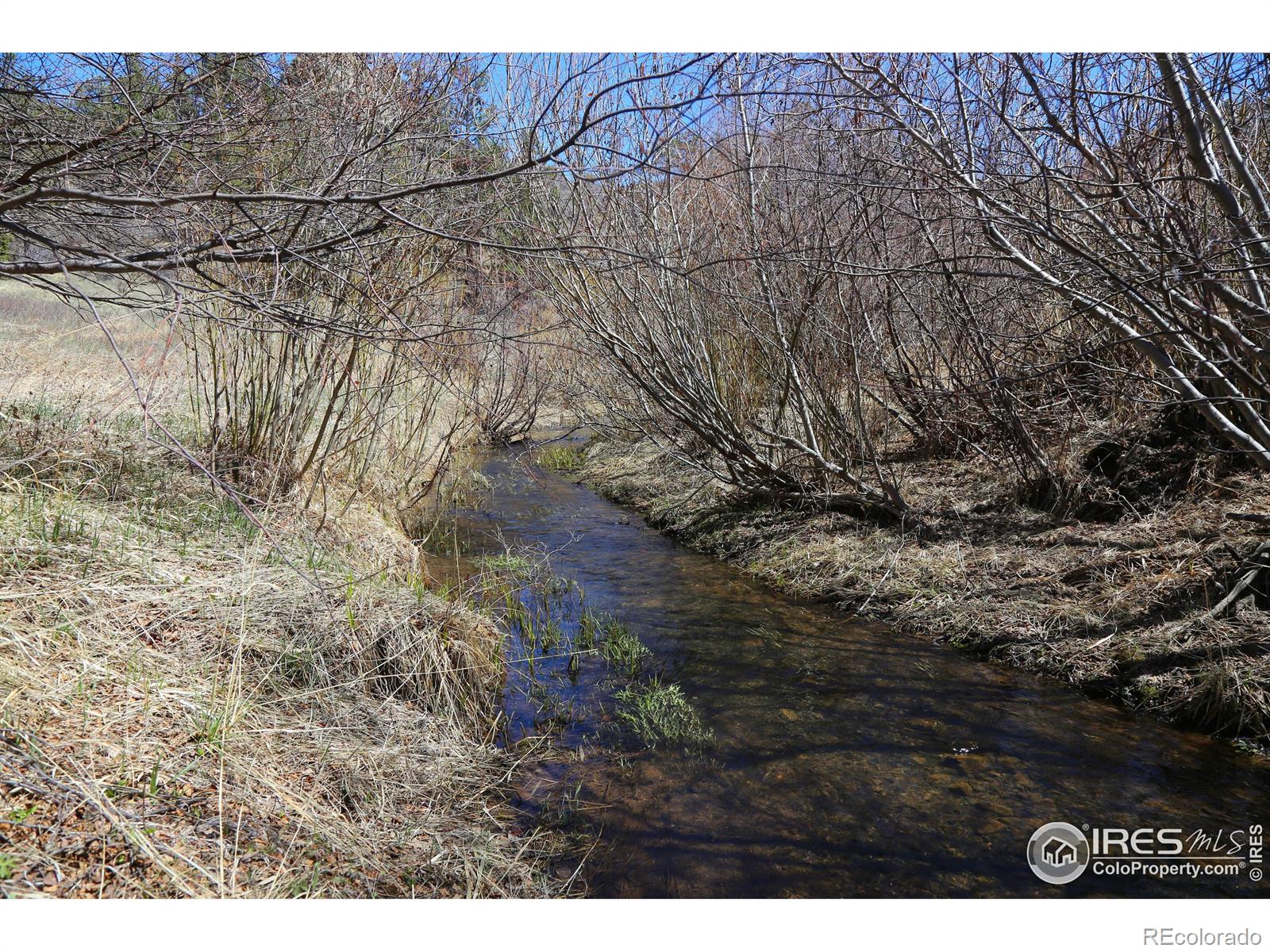 MLS Image #36 for 6161  mill creek road,livermore, Colorado