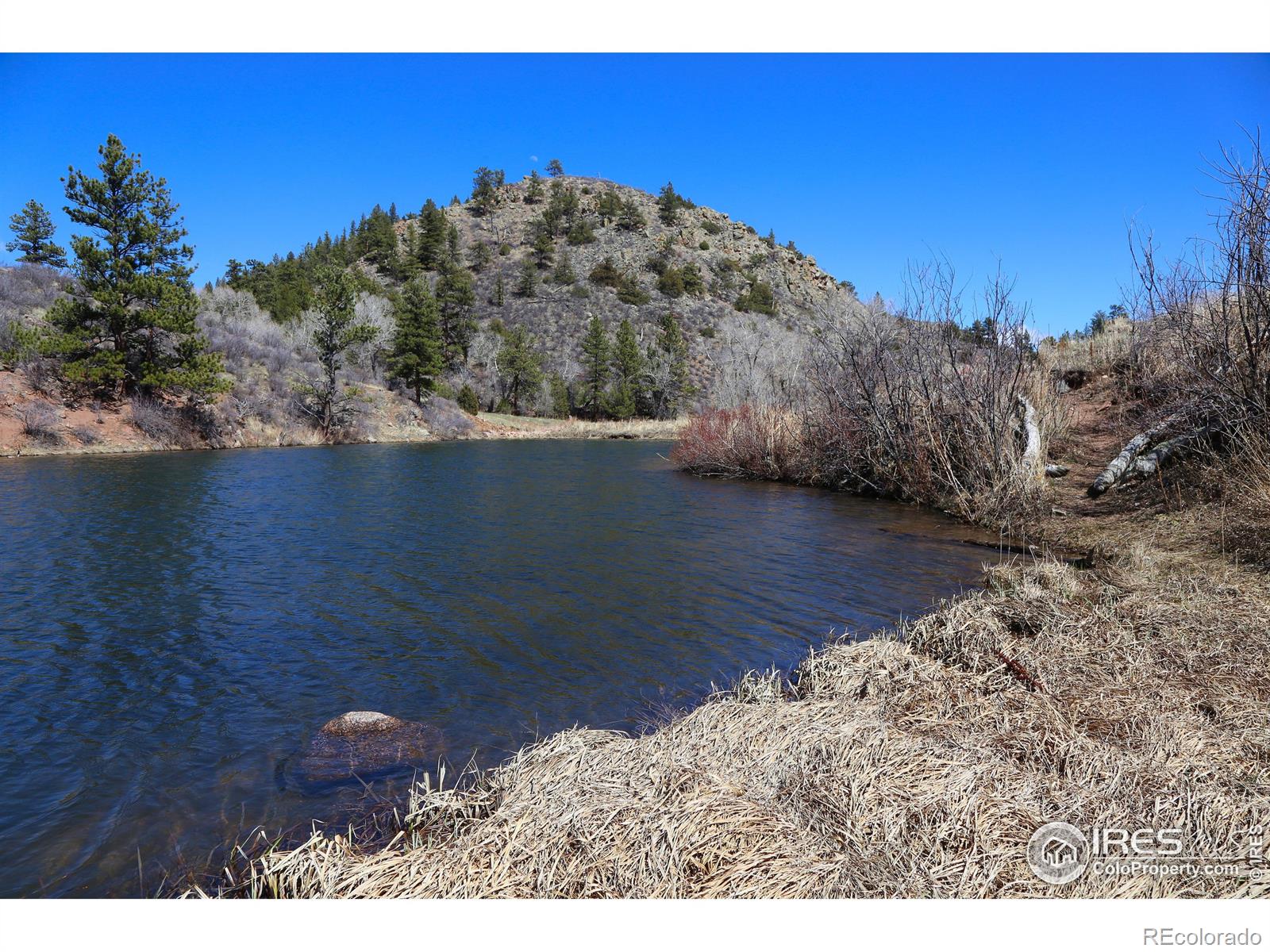 MLS Image #4 for 6161  mill creek road,livermore, Colorado