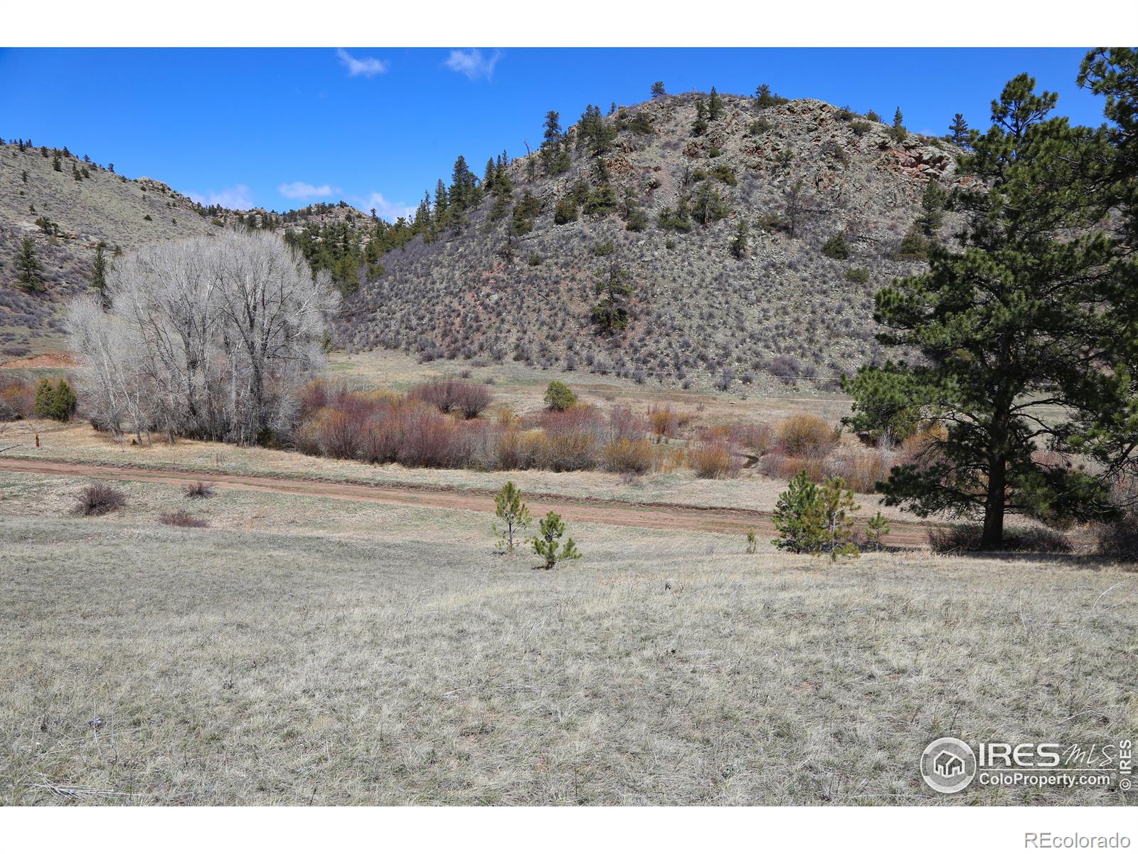 MLS Image #6 for 6161  mill creek road,livermore, Colorado