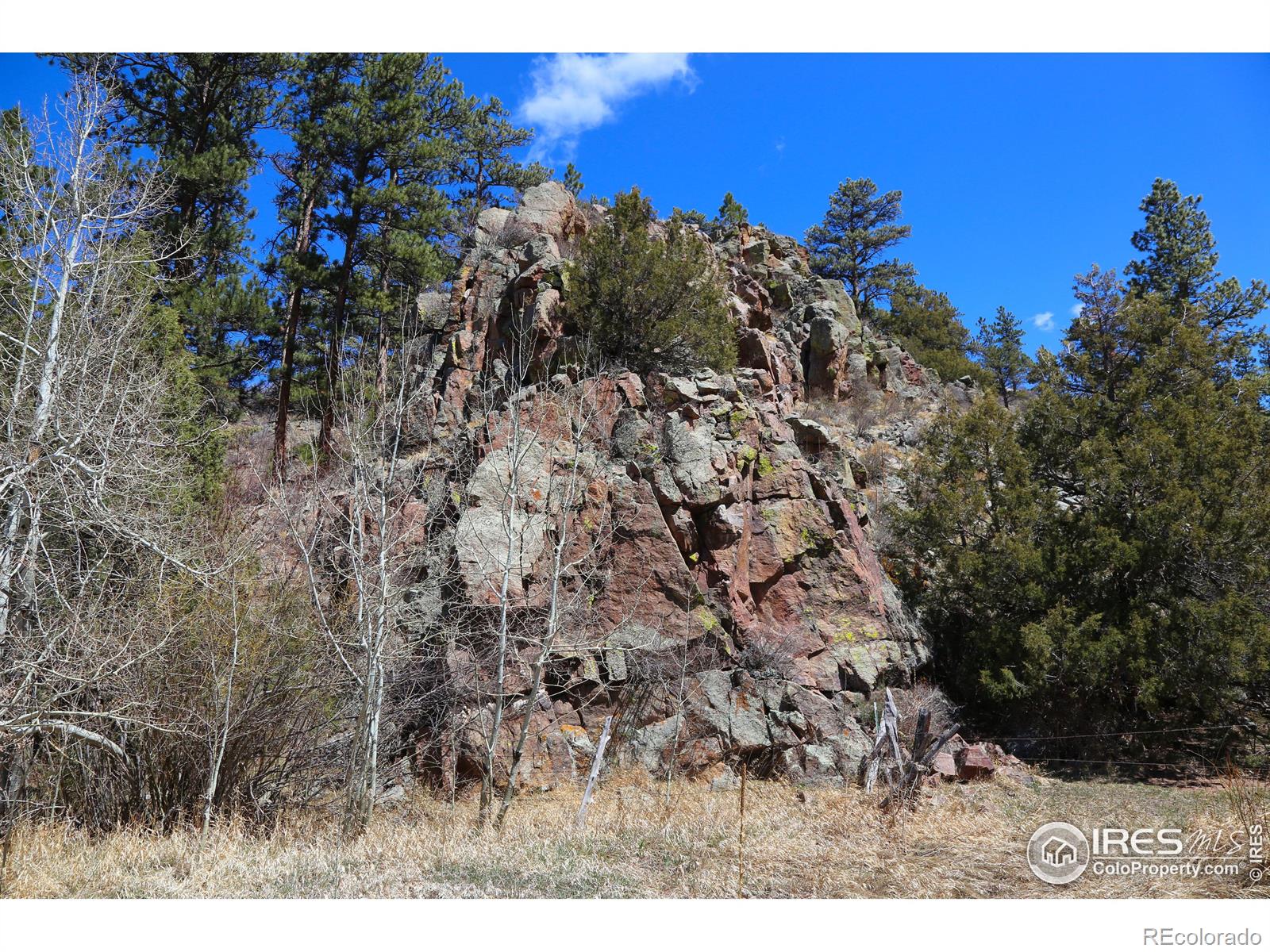 MLS Image #9 for 6161  mill creek road,livermore, Colorado