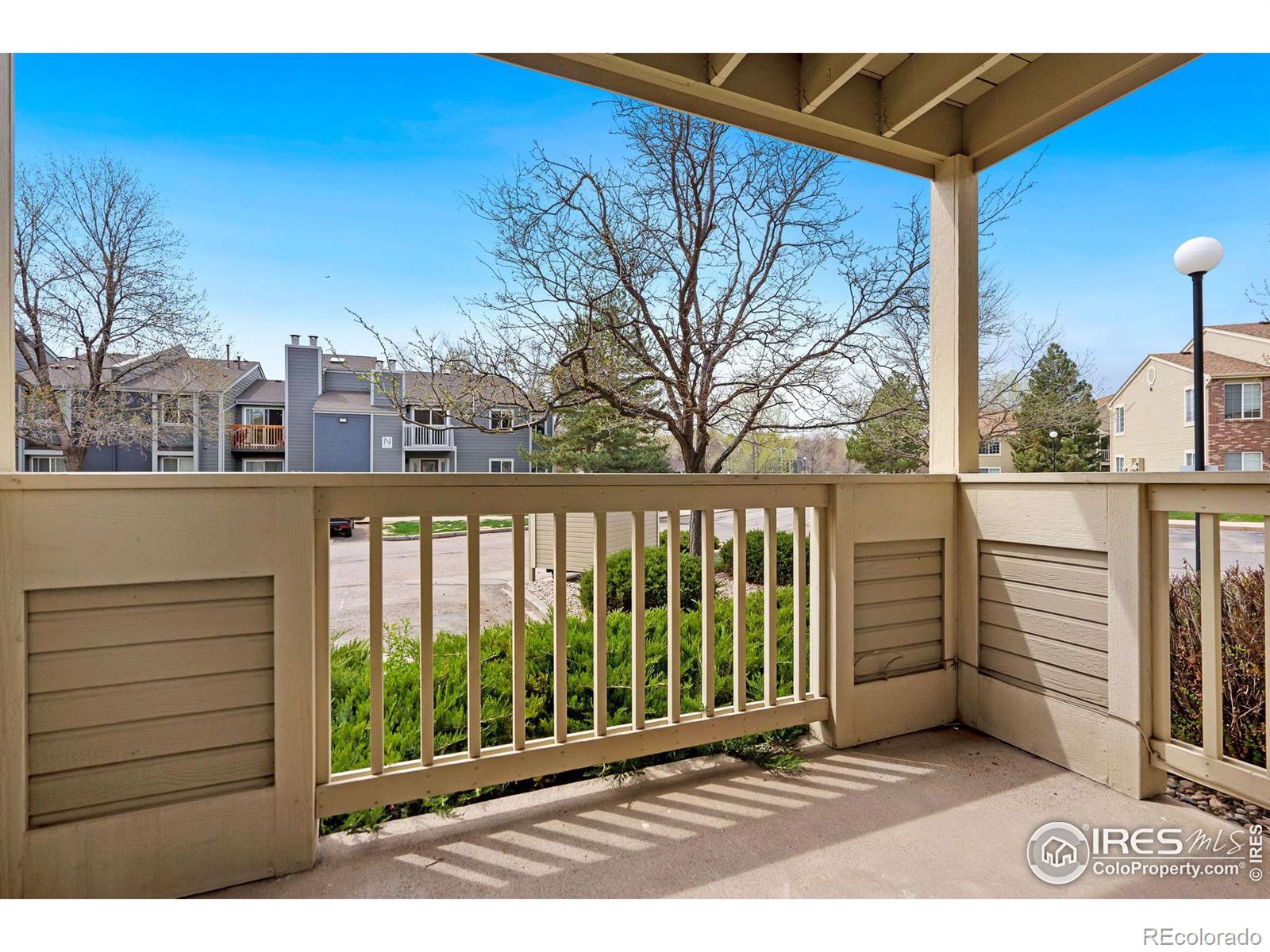 MLS Image #11 for 1225 w prospect road,fort collins, Colorado