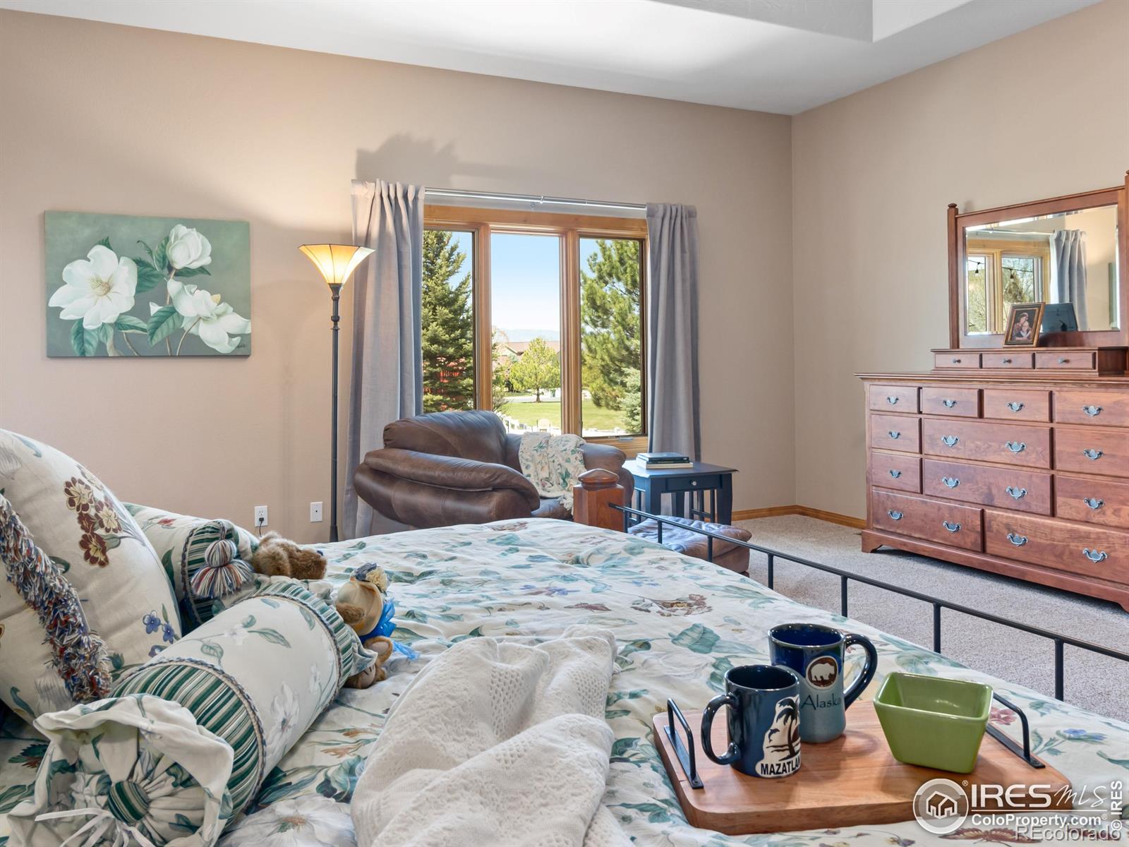 MLS Image #16 for 8193  admiral drive,windsor, Colorado