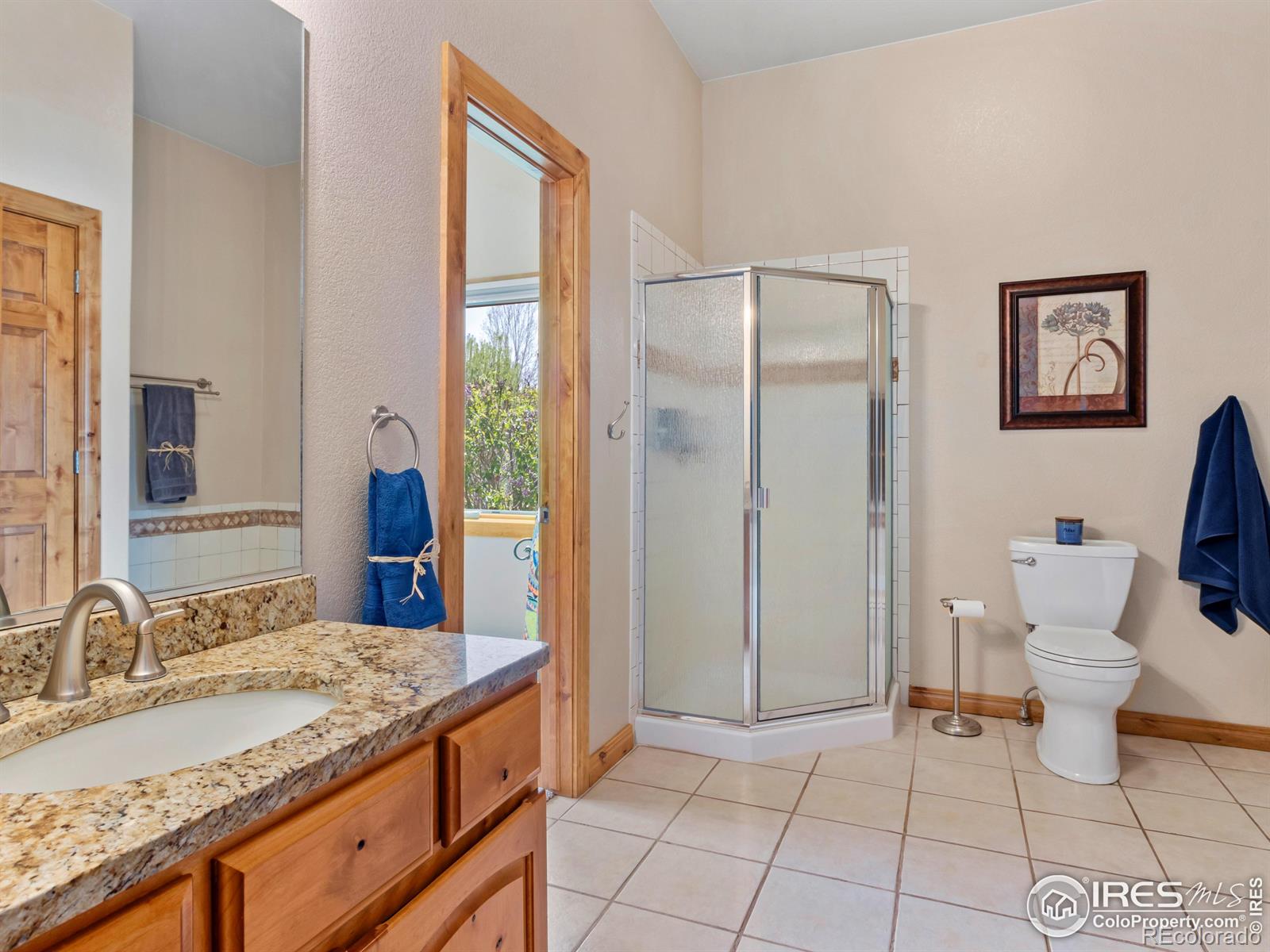 MLS Image #23 for 8193  admiral drive,windsor, Colorado