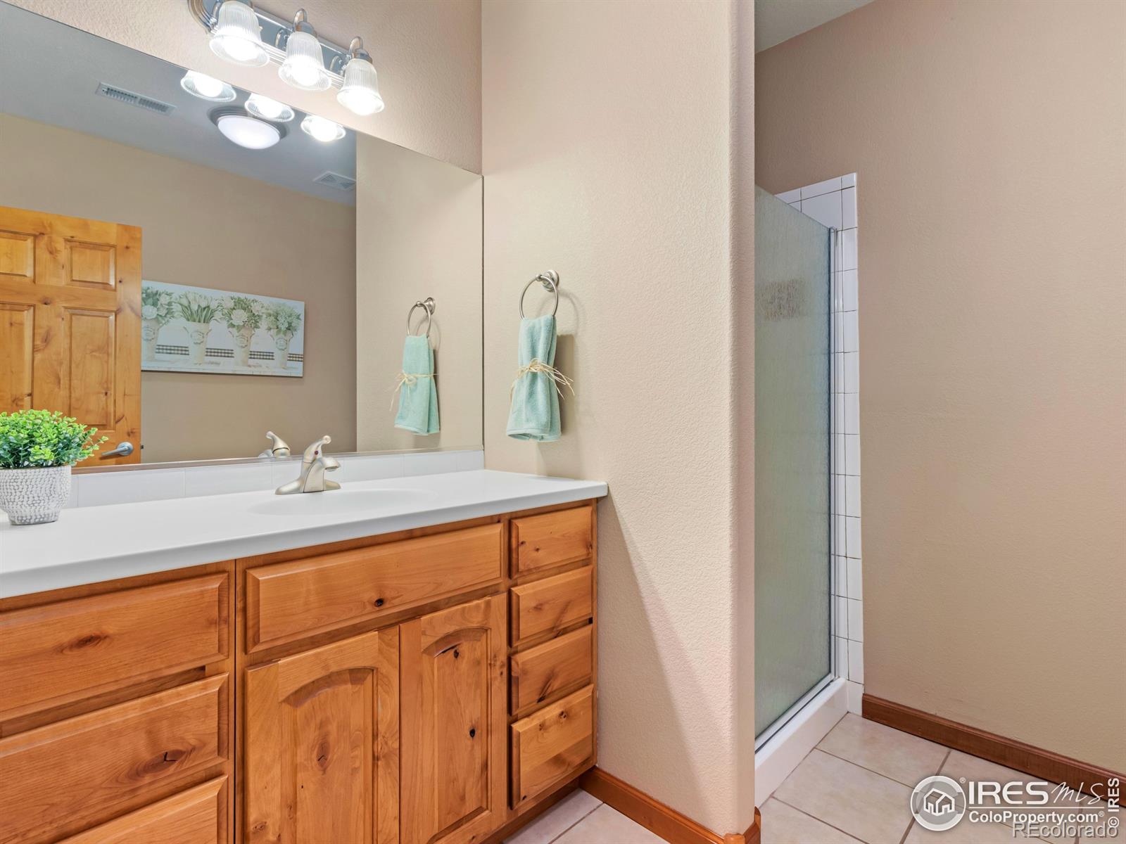 MLS Image #37 for 8193  admiral drive,windsor, Colorado