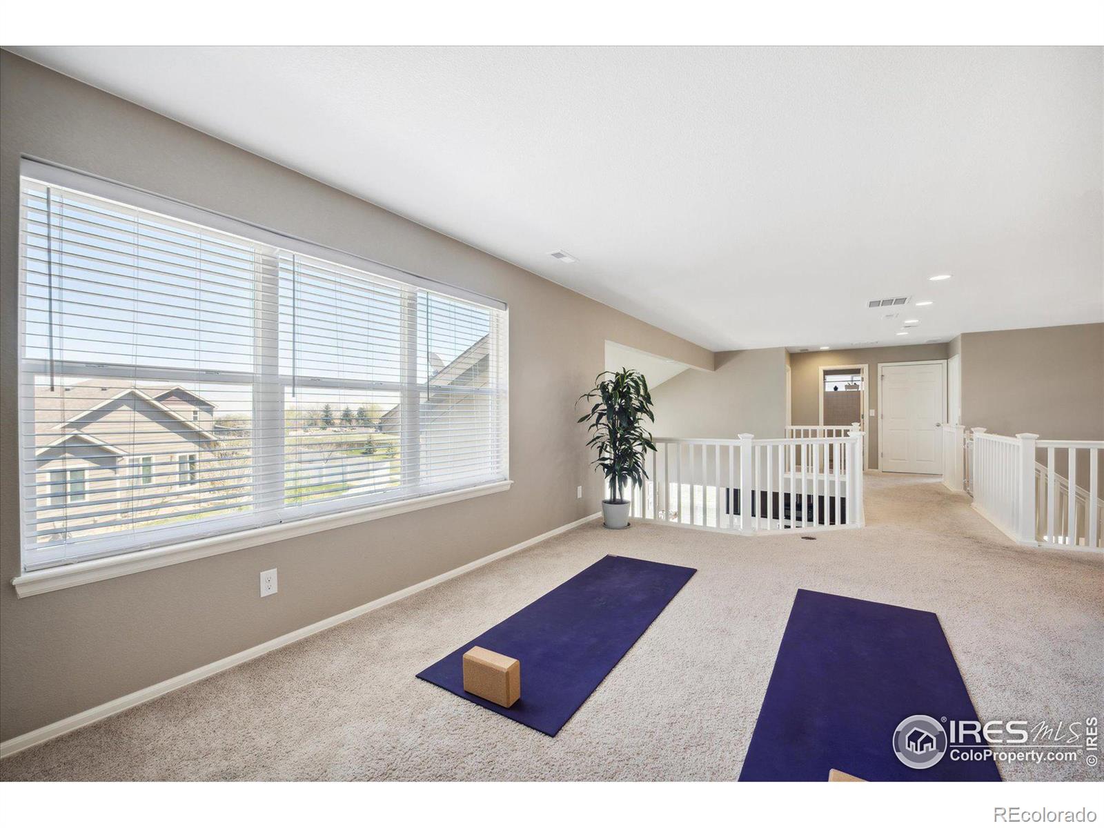 MLS Image #22 for 5946  cibola court,loveland, Colorado