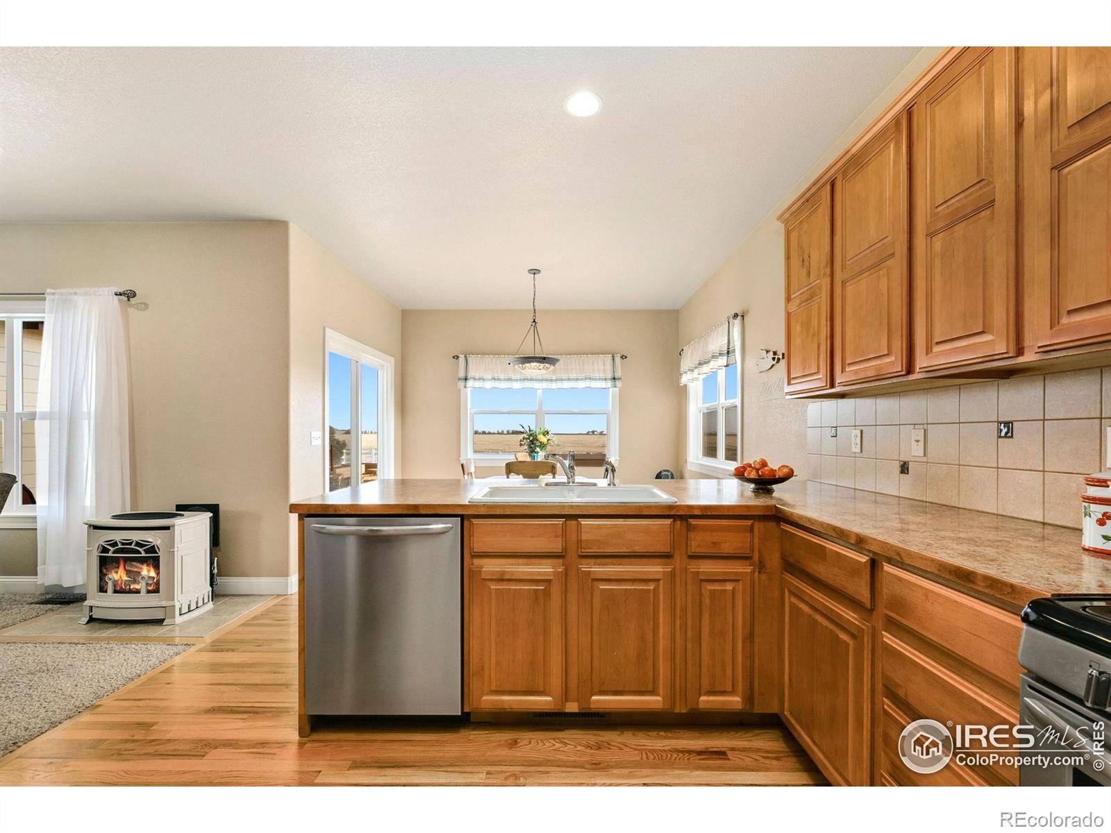 MLS Image #11 for 2120  blue ridge drive,severance, Colorado