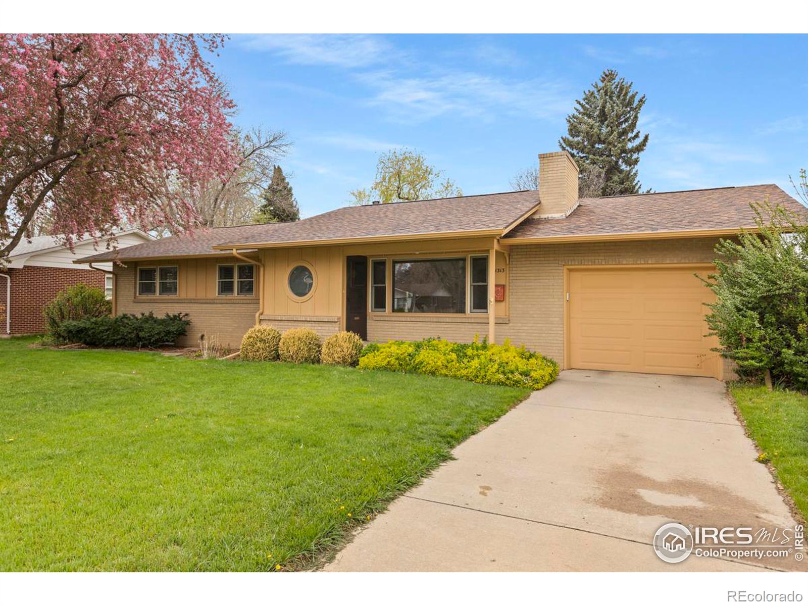 Report Image for 1313  Stover Street,Fort Collins, Colorado