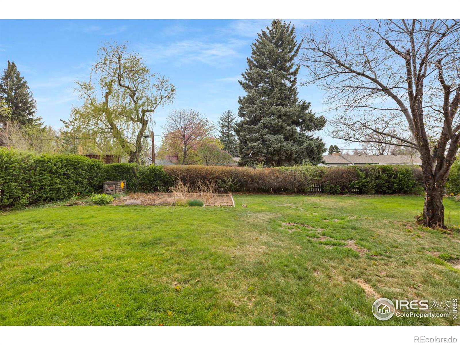 MLS Image #26 for 1313  stover street,fort collins, Colorado