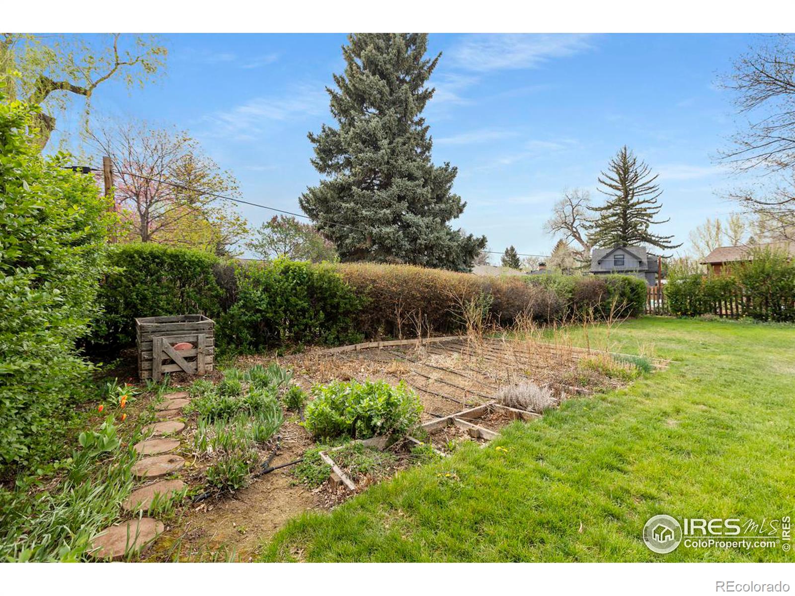 MLS Image #28 for 1313  stover street,fort collins, Colorado