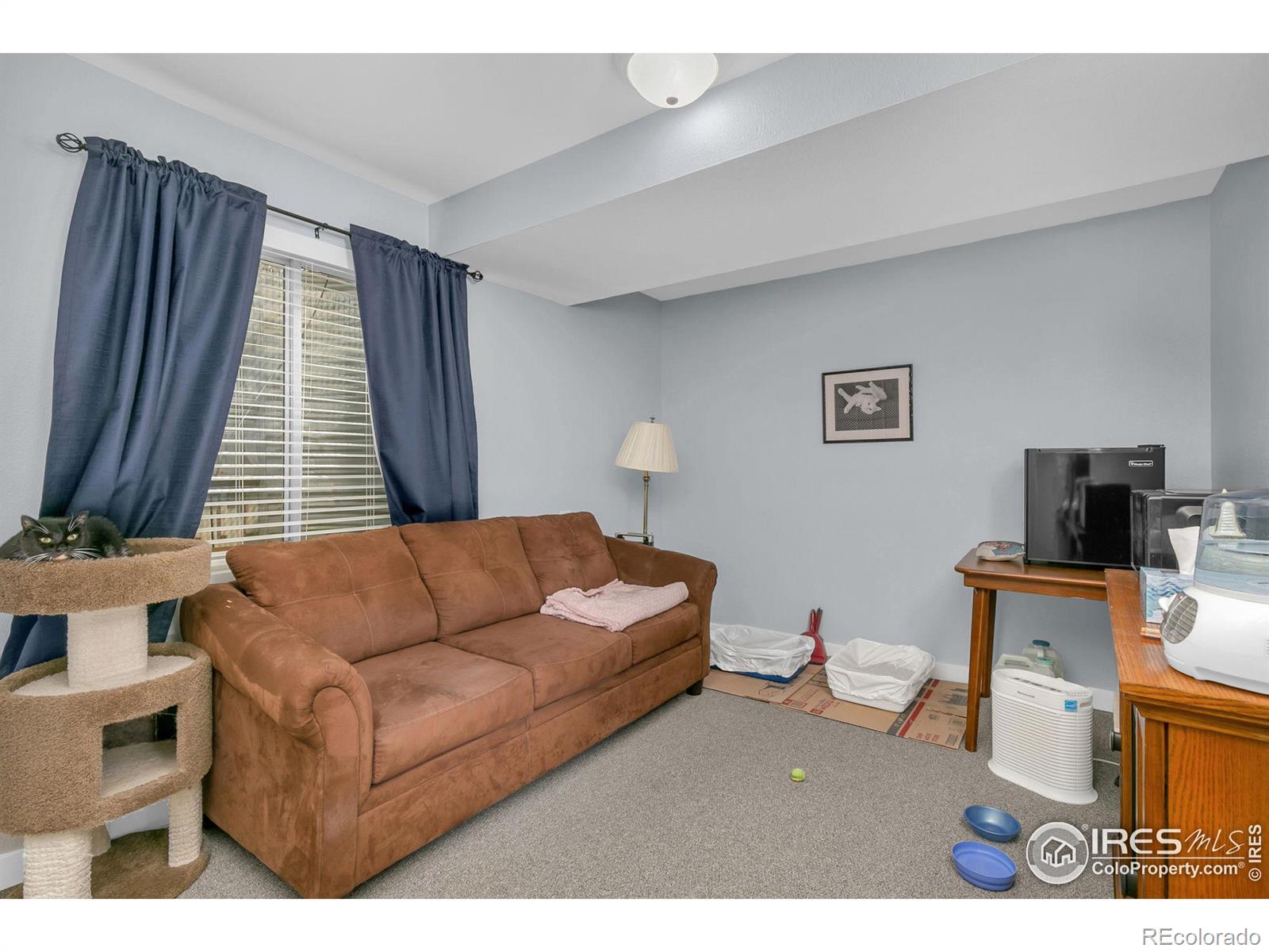 MLS Image #19 for 2214  alpine avenue,greeley, Colorado