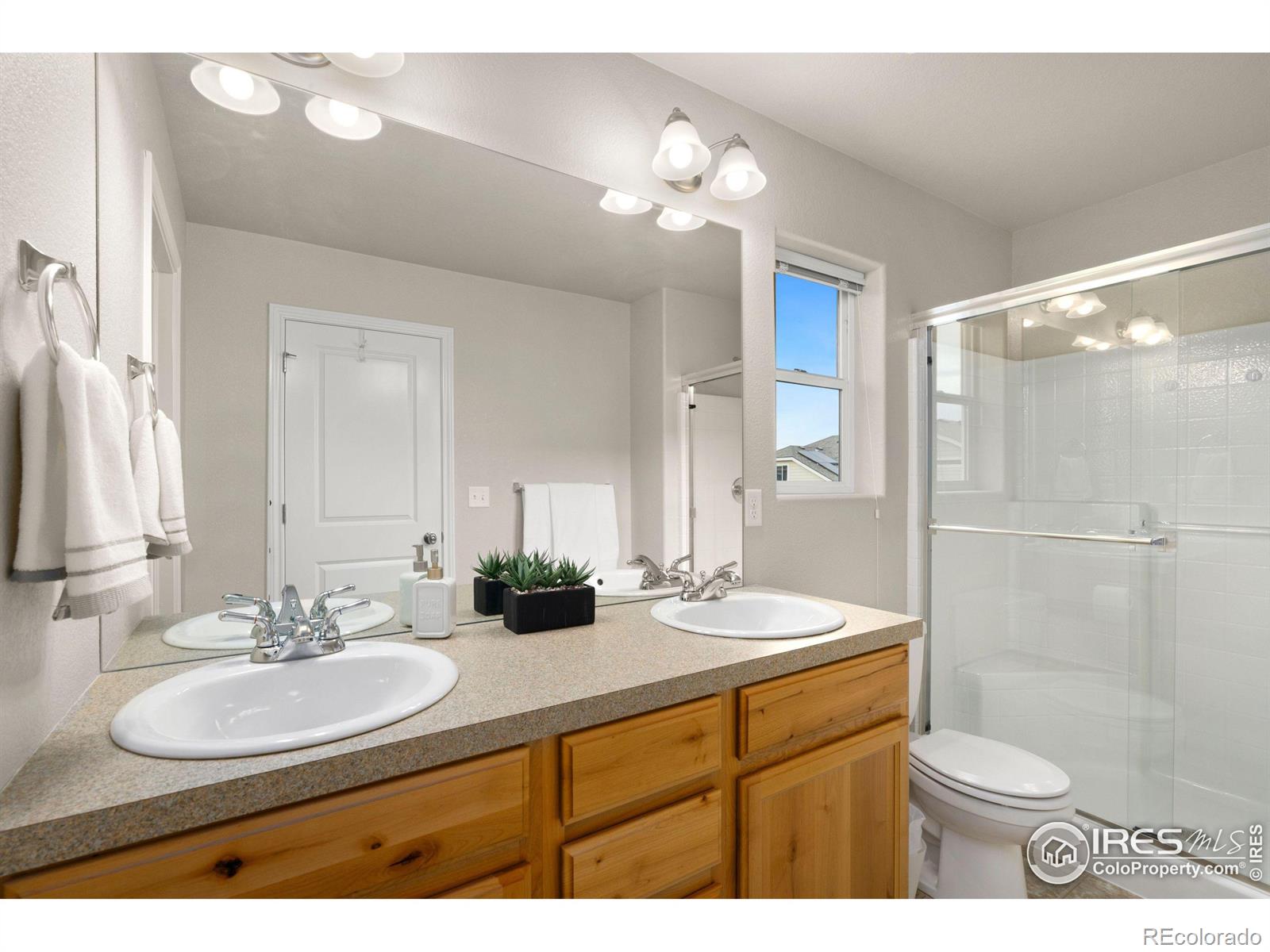 MLS Image #20 for 503  muskegon court,fort collins, Colorado