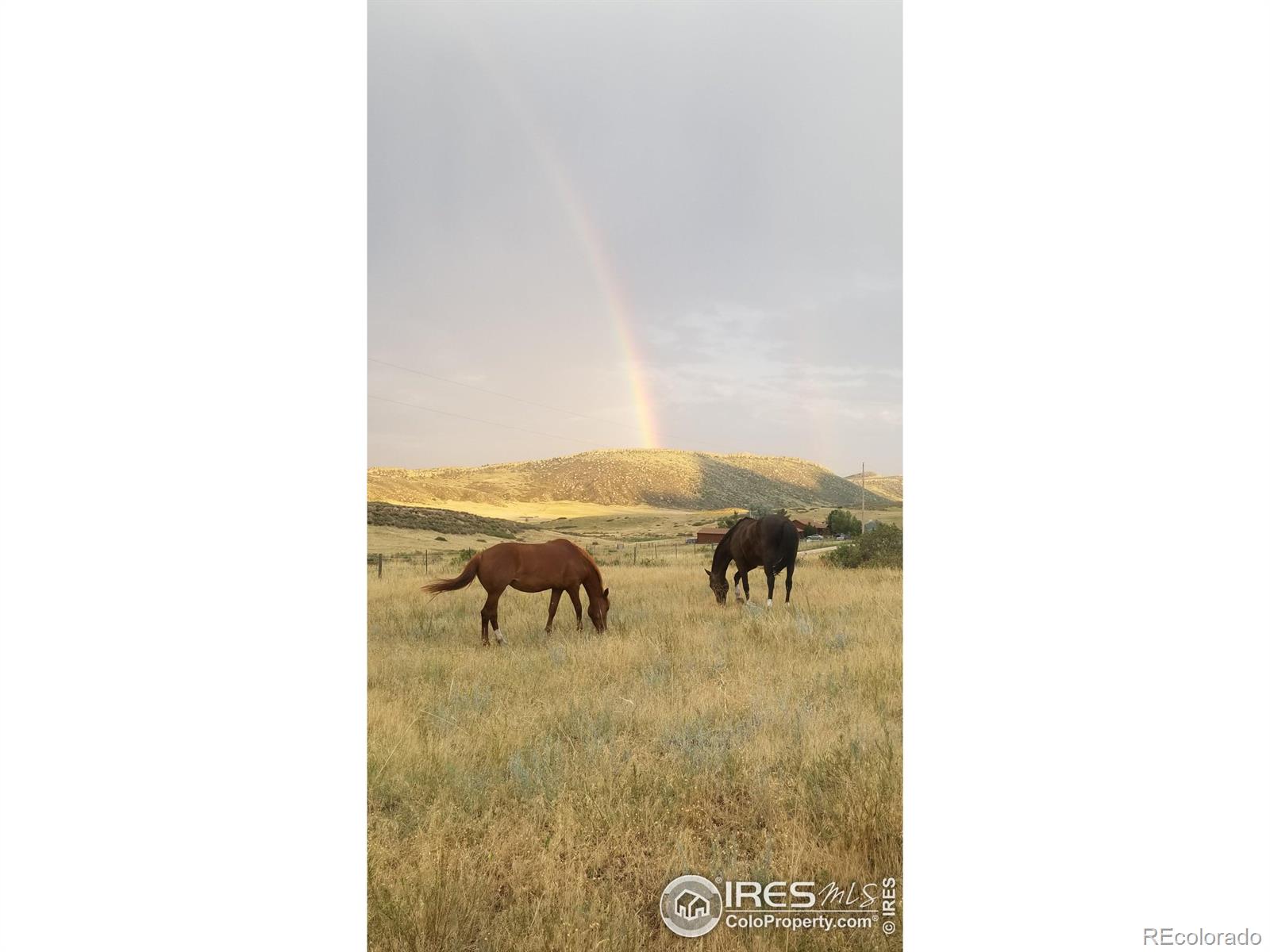 MLS Image #31 for 93  juniper ridge road,laporte, Colorado