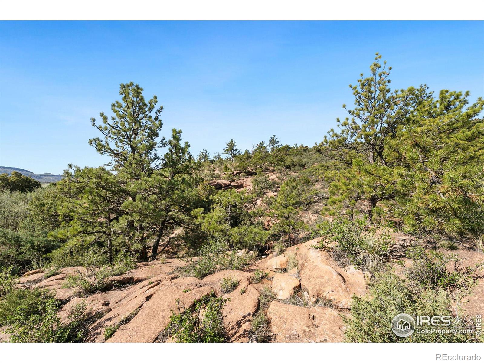 MLS Image #34 for 93  juniper ridge road,laporte, Colorado