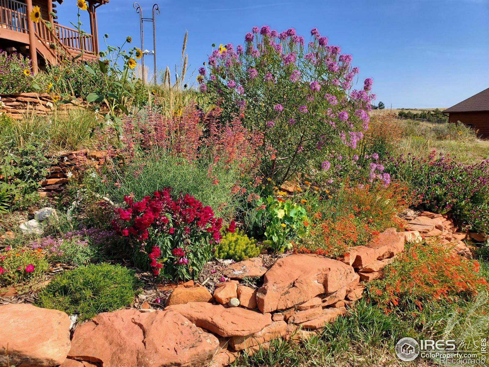 MLS Image #38 for 93  juniper ridge road,laporte, Colorado