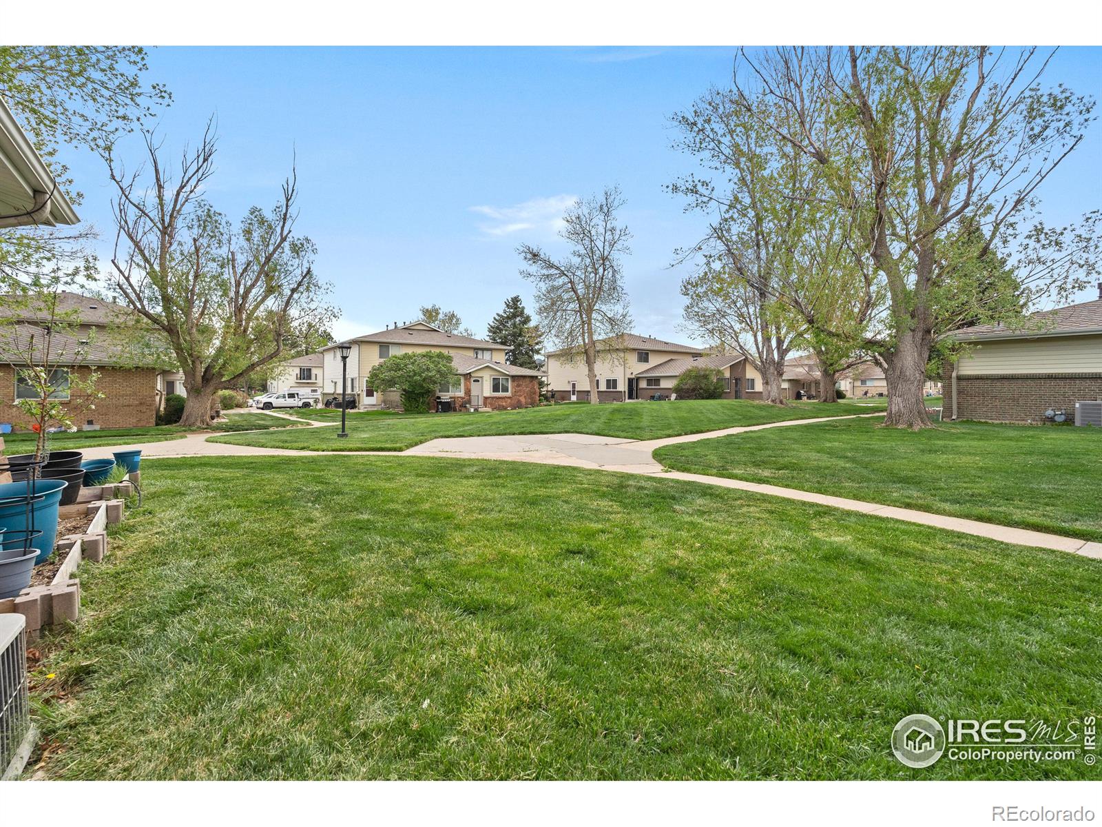 Report Image for 3351 S Field Street,Lakewood, Colorado