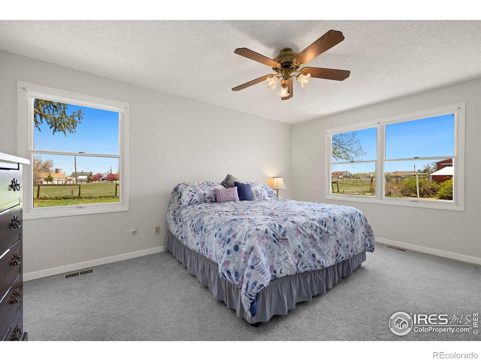 MLS Image #16 for 1701  gaucho court,longmont, Colorado