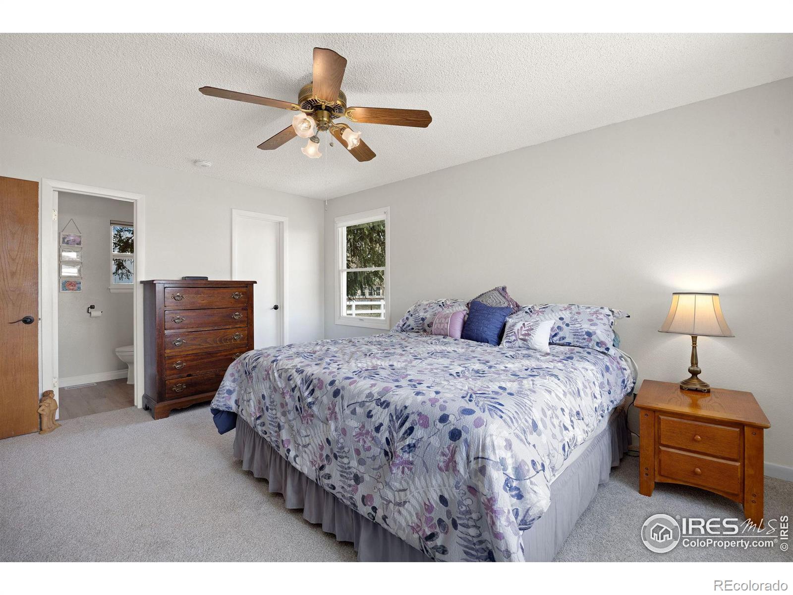 MLS Image #18 for 1701  gaucho court,longmont, Colorado