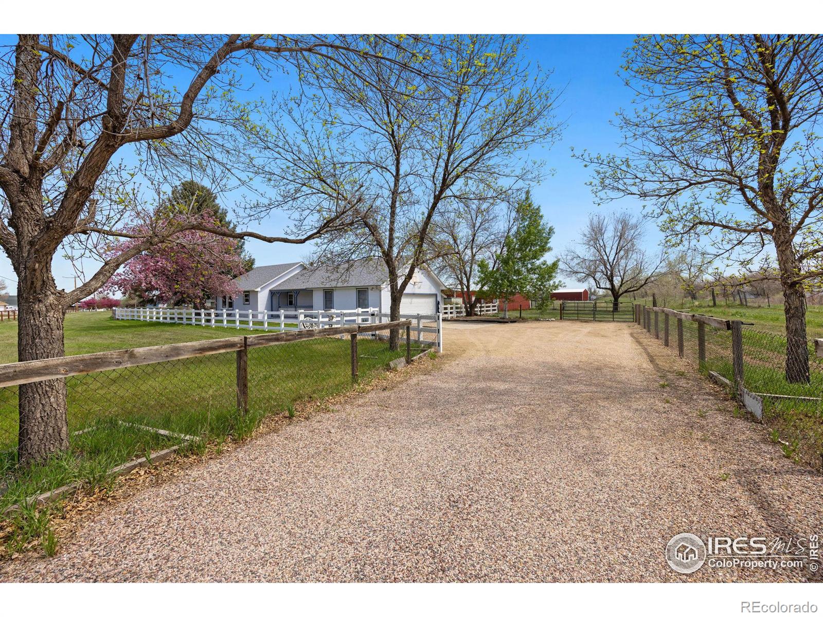 MLS Image #2 for 1701  gaucho court,longmont, Colorado