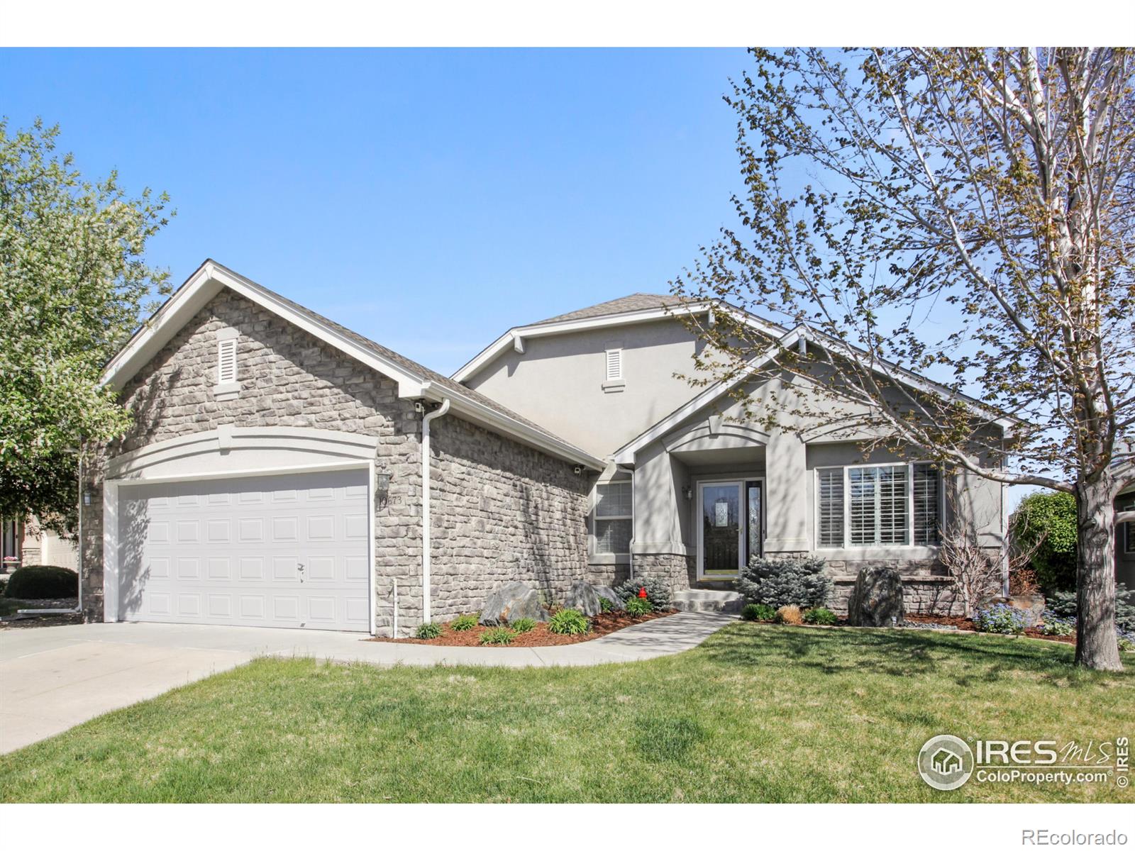 Report Image for 10673 N Osceola Drive,Westminster, Colorado