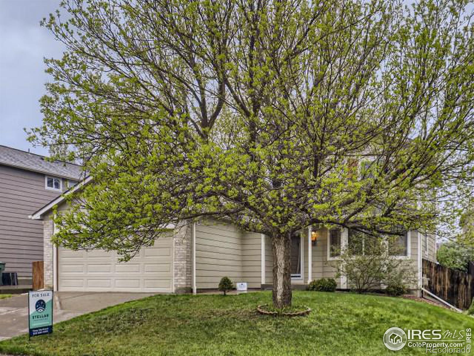 MLS Image #27 for 12243  glencoe street,thornton, Colorado