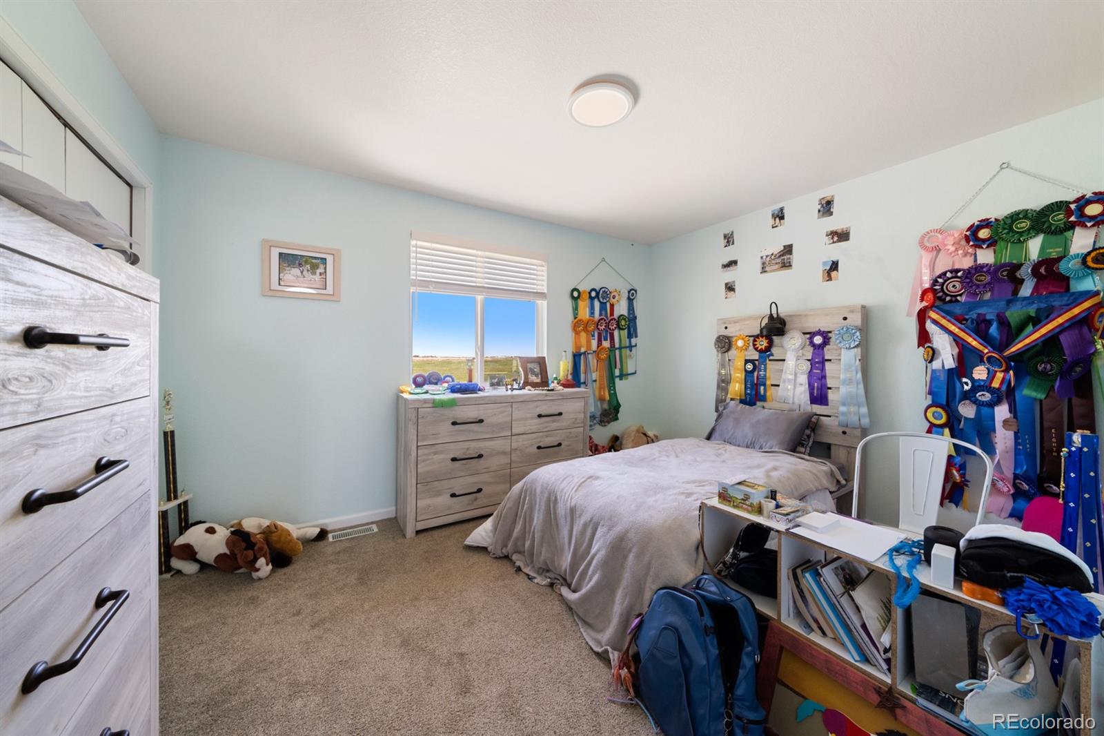 MLS Image #17 for 5101  blue bell trail,elizabeth, Colorado