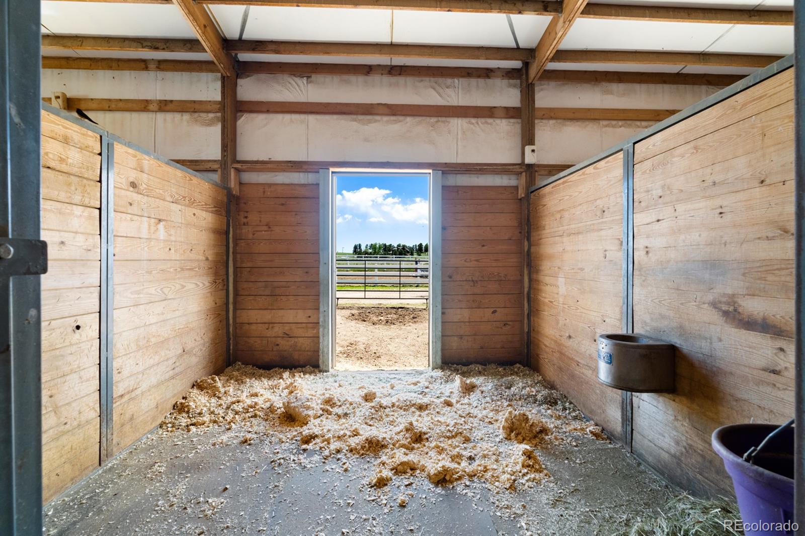 MLS Image #26 for 5101  blue bell trail,elizabeth, Colorado