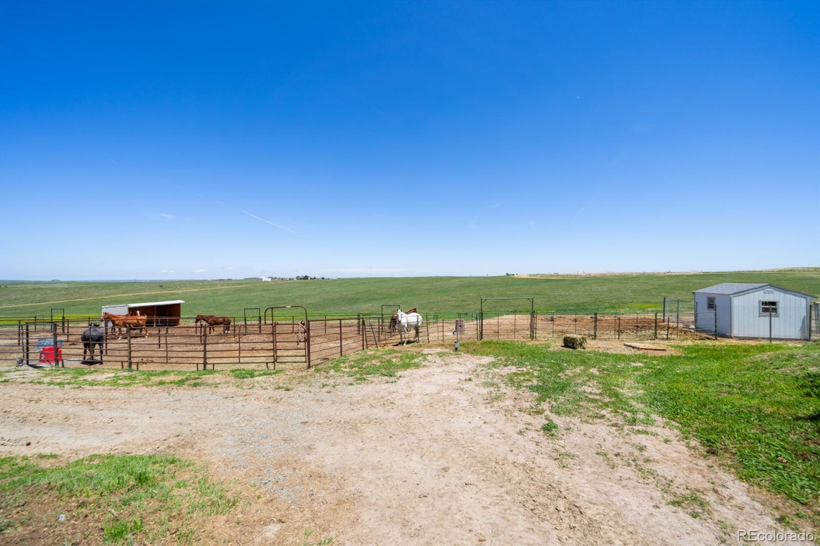 MLS Image #36 for 5101  blue bell trail,elizabeth, Colorado