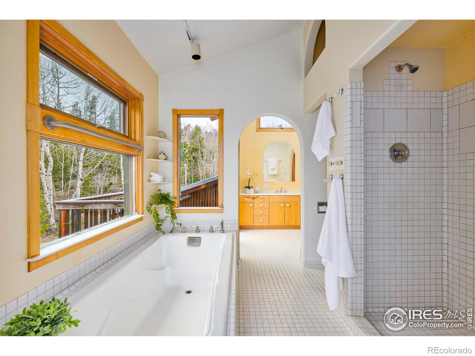 MLS Image #20 for 15  sherwood road,nederland, Colorado