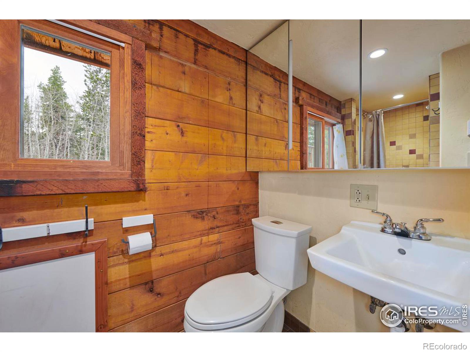 MLS Image #28 for 15  sherwood road,nederland, Colorado