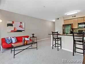 MLS Image #0 for 1623  saint paul street 308,denver, Colorado