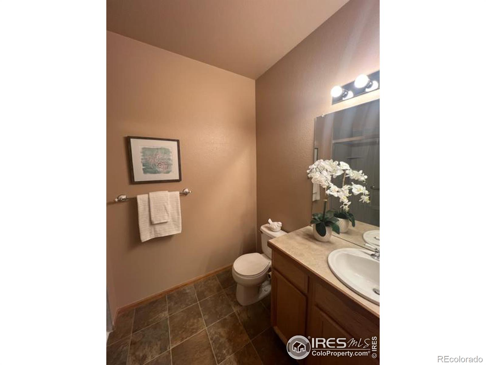 MLS Image #13 for 635  gooseberry drive,longmont, Colorado