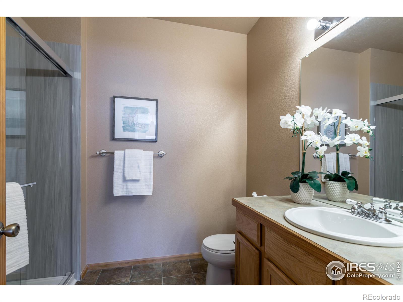 MLS Image #21 for 635  gooseberry drive,longmont, Colorado