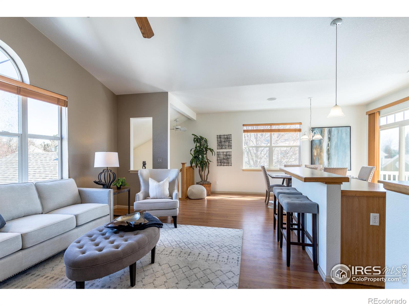 MLS Image #22 for 635  gooseberry drive,longmont, Colorado