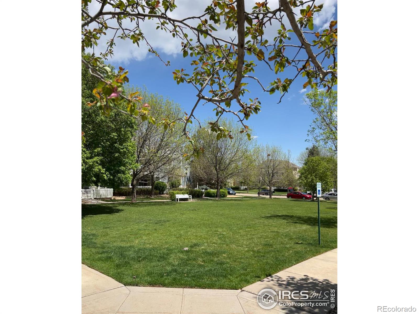 MLS Image #34 for 635  gooseberry drive,longmont, Colorado