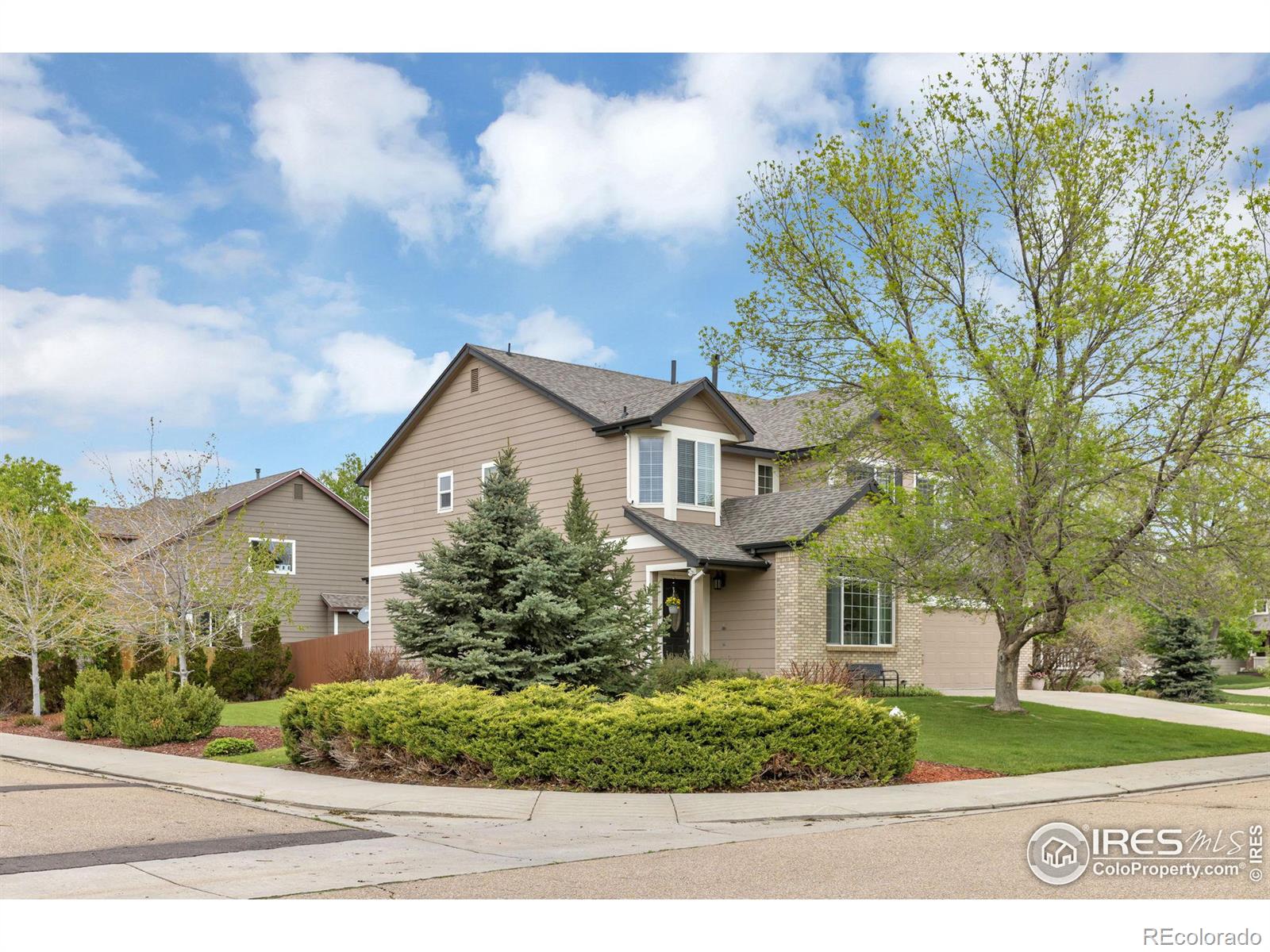 MLS Image #1 for 1001  morning dove drive,longmont, Colorado