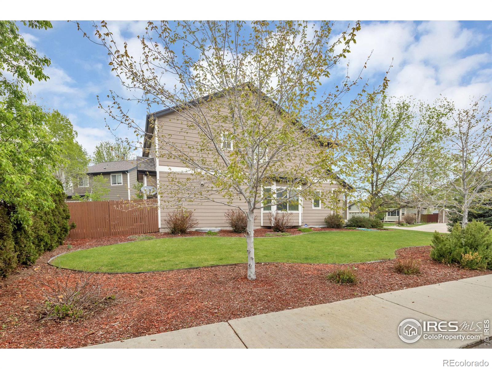 MLS Image #32 for 1001  morning dove drive,longmont, Colorado