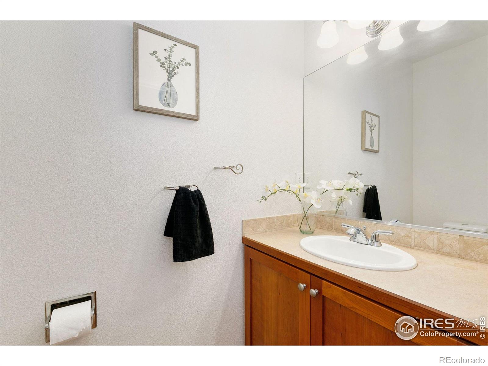 MLS Image #10 for 2802  moore lane,fort collins, Colorado