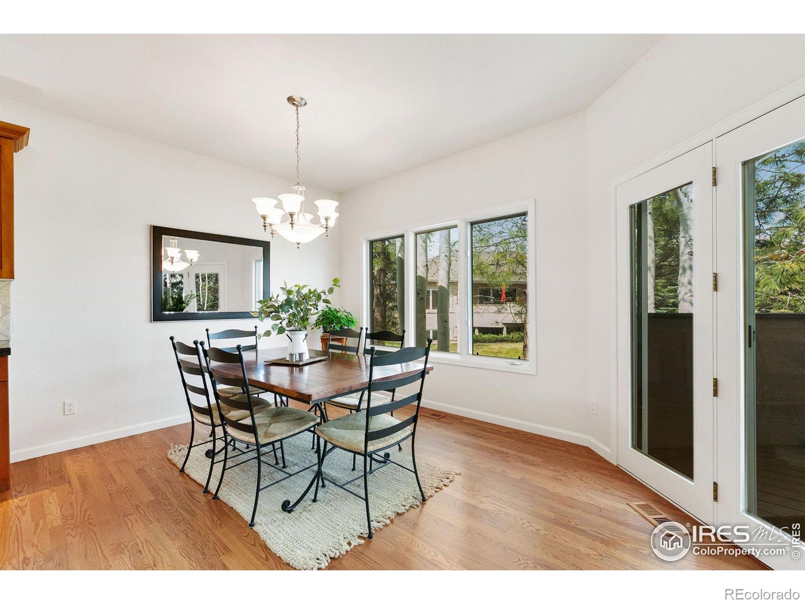 MLS Image #9 for 2802  moore lane,fort collins, Colorado