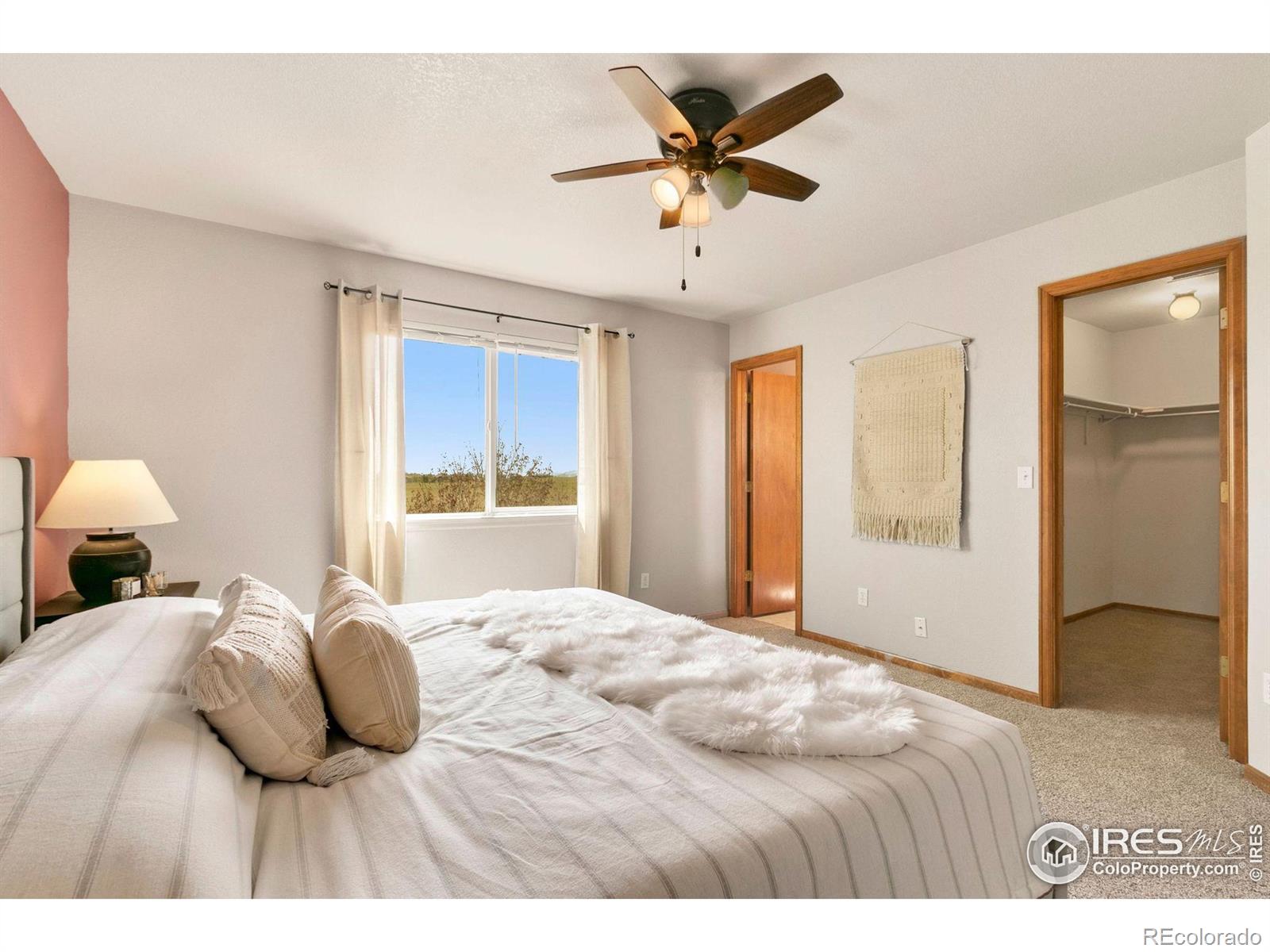 MLS Image #18 for 3232  williamsburg street,loveland, Colorado